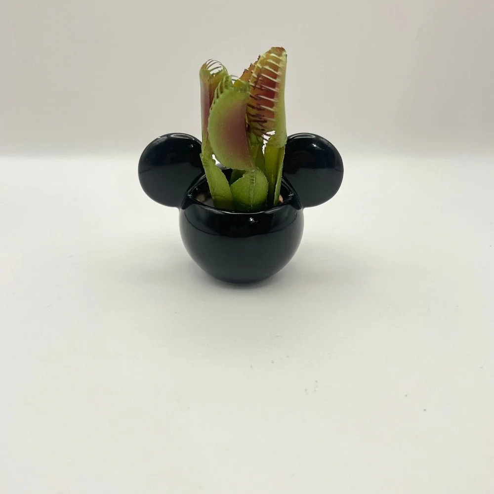 Disney Mickey Mouse Halloween Ceramic Planter Faux Venus Flytrap EEK Bats Black